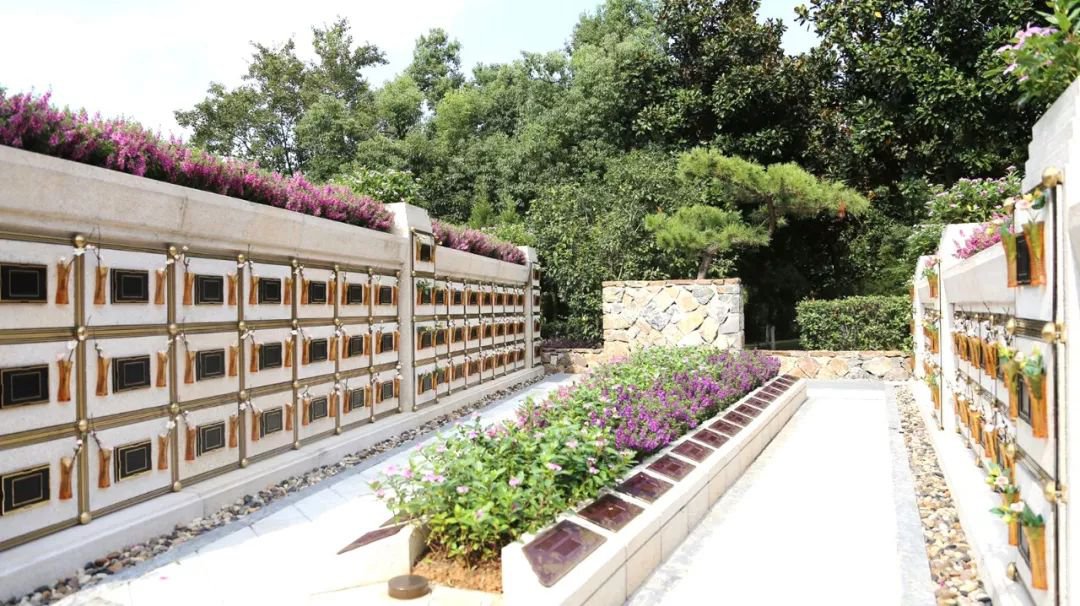 在合肥大蜀山文化陵园，与生命温柔对话